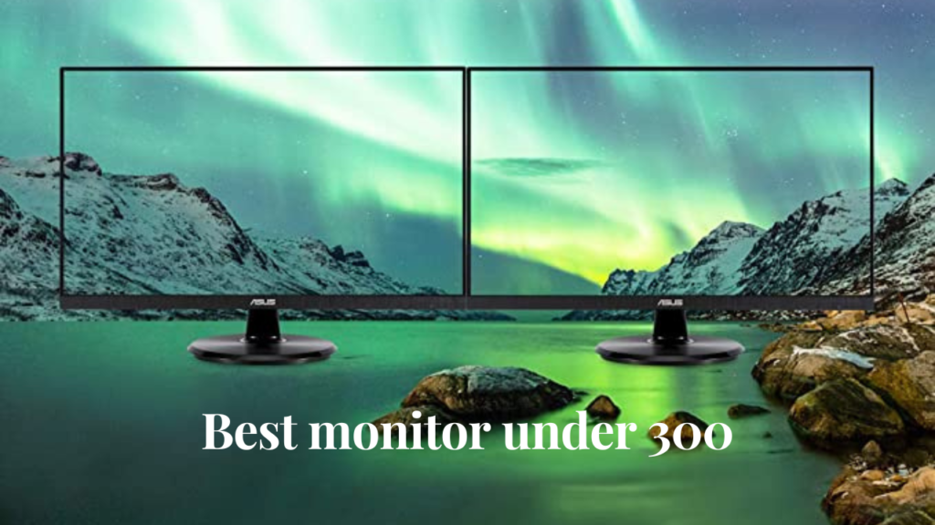 best monitor under 300
