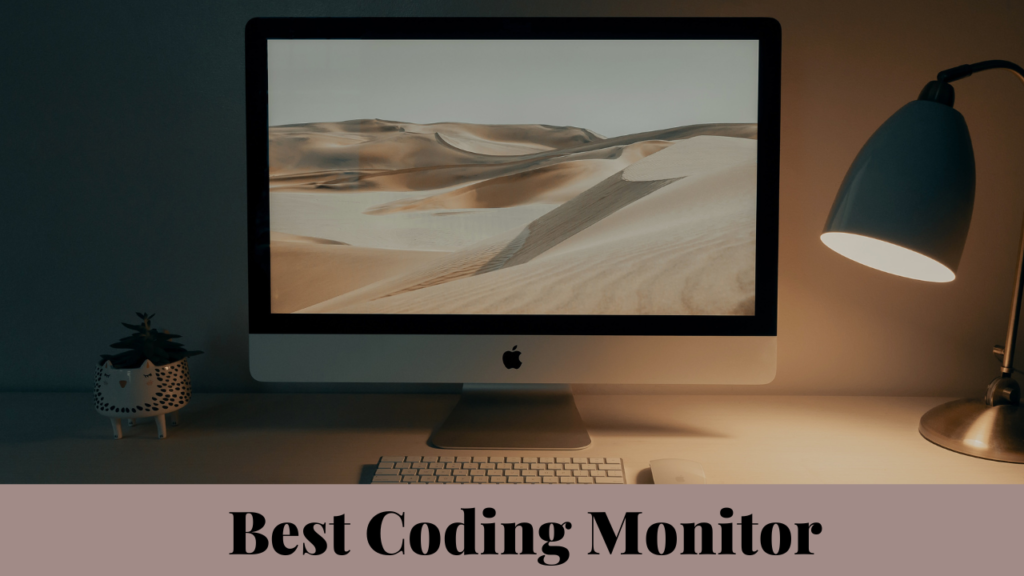 best coding monitor