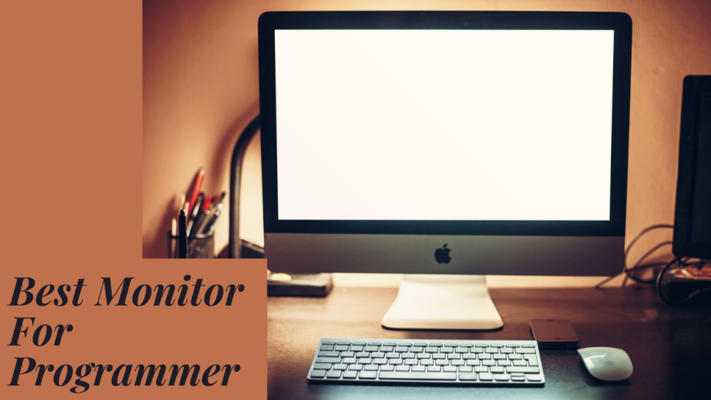 best monitor for programmer