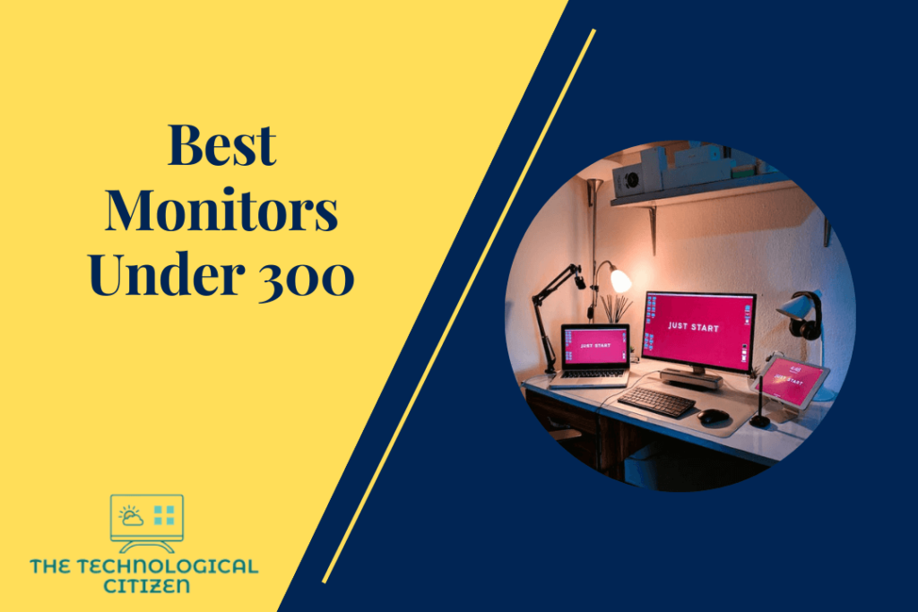 Best Monitors Under 300